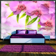 Fototapeta  Orchidee w kolorze lila